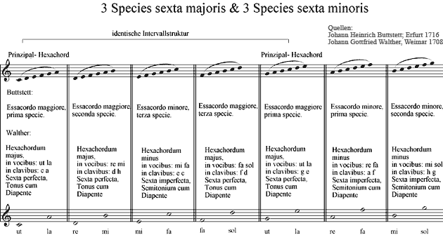 3 Species sexta majoris & 3 Species sexta minoris